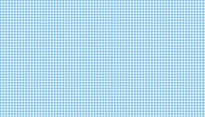 920_b4_gingham