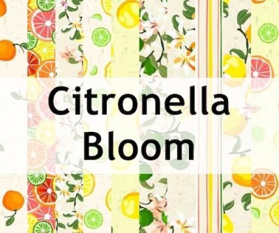 citronella_bloom