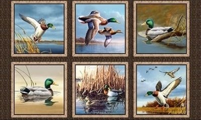 quiltingtreasuresducklake-lg