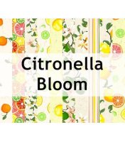 citronella_bloom