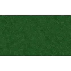 2800_g67_spraytime