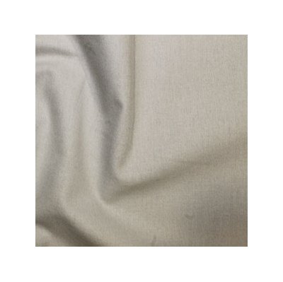 silver_rh1-71