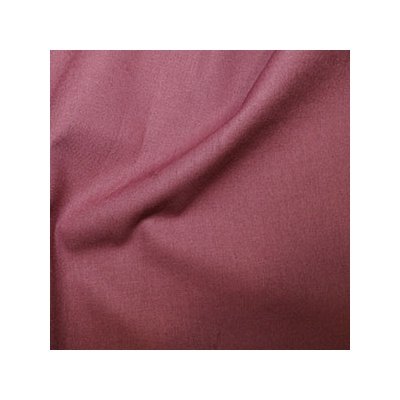 rose_rh1-24