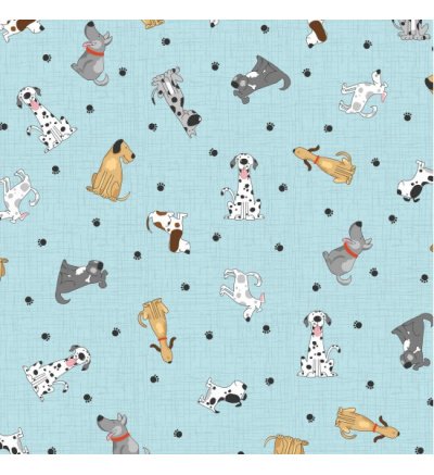 81100-canines-felines-col_-1