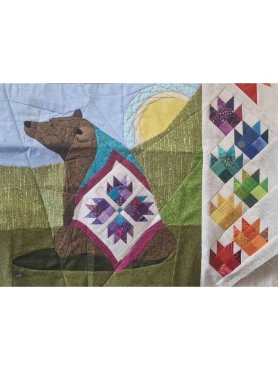 13a__13b_euston_kodiac_bear_hb1